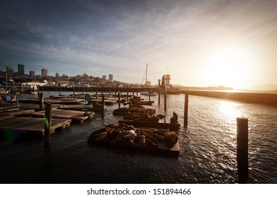 Pier 39 San Francisco Califronia 