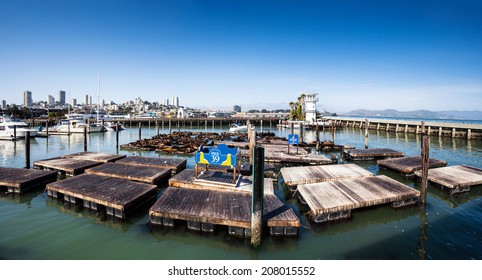 Pier 39 In San Francisco Panorama