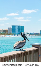 Pier Clearwater Beach Florida USA