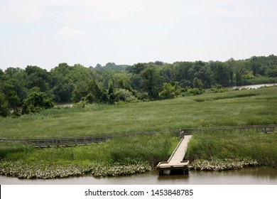 A Pier In The Freshwater Marsh At The Russell W. Peterson Urban Wildlife Refuge In Wilmington, Delaware