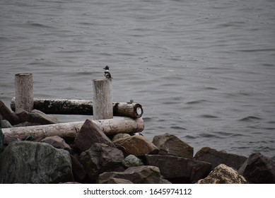 Pier Kept In Place With Heavy Rocks, Whiteway Trinity Bay NL, Canada