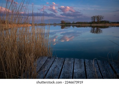 Pier made of planks in the reeds on the shore of a calm lake, trees on the horizon and clouds after sunset, Stankow, eastern Poland