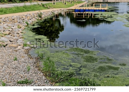 Pier for park visitors. two steps lead to it. planks terrace over water. Pond with a dock for boats. floor plan of a rectangle. the terrace has no railings., stone, green, algae, boat, lawn