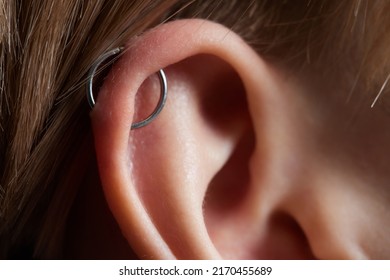 Piercings On An Ear. Conch And Helix Piercings Close Up.