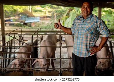 Pig Farming. Shot Of Smiling Asian Farmer Worker Standing In Pig Pen In Country Side.