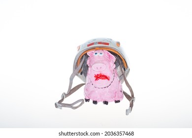 A Pig In A Helmet. A Piglet In A Helmet On A White Background. The Pink Pig Has Sad Eyes.