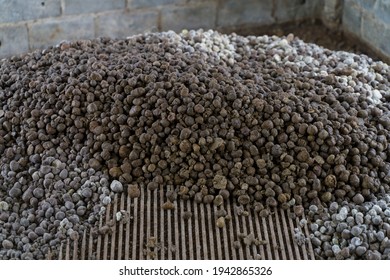 Pig Manure Heaps On The Farm