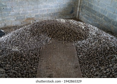 Pig Manure Heaps On The Farm