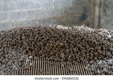 Pig Manure Heaps On The Farm