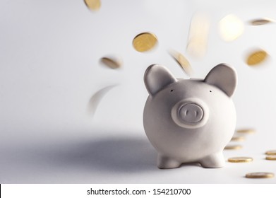 Pig Money Box With Golden Coins