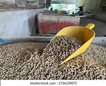 Pig Pelleted Feed Is Prepared In A Cart In Front Of The Pig House, Waiting For The Next Meal.