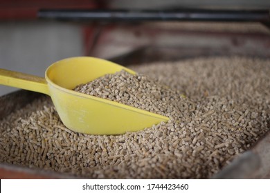 Pig Pellets Feed Were Prepared In A Food Cart Ready For The Next Meal In Big Commercial Swine Farm