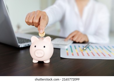 pig piggy bank on the table and woman picking up a coin for save money, saving money or savings concept.
