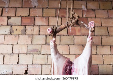 Pig Slaughter