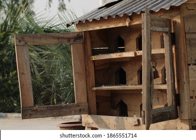 Pigeon bird house photo capture at Dhaka, Bangladesh