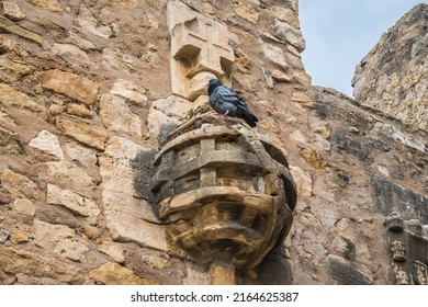 Pigeon (Columba livia) on top of a stone armillary sphere on the wall of the castle of Torres Vedras PORTUGAL