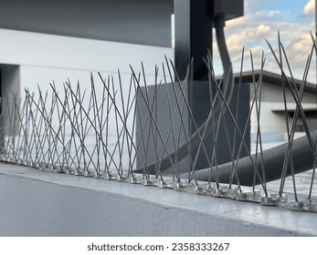 Pigeon Control Solution: Anti-Bird Spikes for Buildings