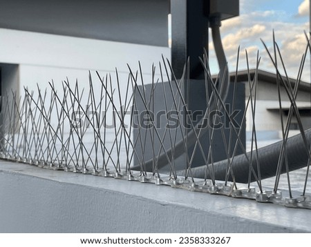 Pigeon Control Solution: Anti-Bird Spikes for Buildings