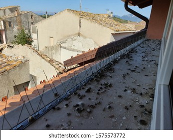 Pigeon droppings in front of the window