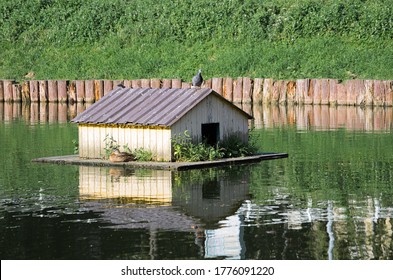 Floating Duck House Hd Stock Images Shutterstock