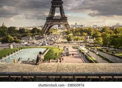 Pigeon And Eifel Tower