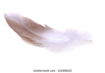 2,749 Red feathers falling Stock Photos, Images & Photography ...