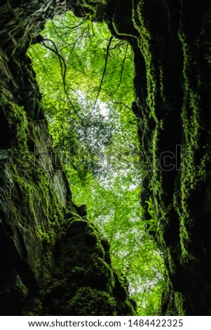 Pigeon Hole Cave covered by trees, Cong, Mayo, Ireland