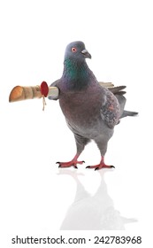 584 Pigeon Carrying Letter Images, Stock Photos & Vectors | Shutterstock