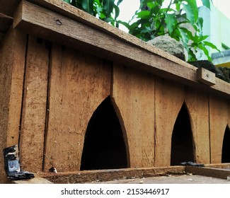 Pigeon Nest In Nextdoor House