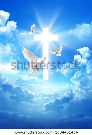 Pigeon over a cross in the cloudy sky background with light rays