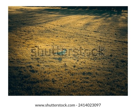 Similar – Image, Stock Photo Which way? Gummy bears