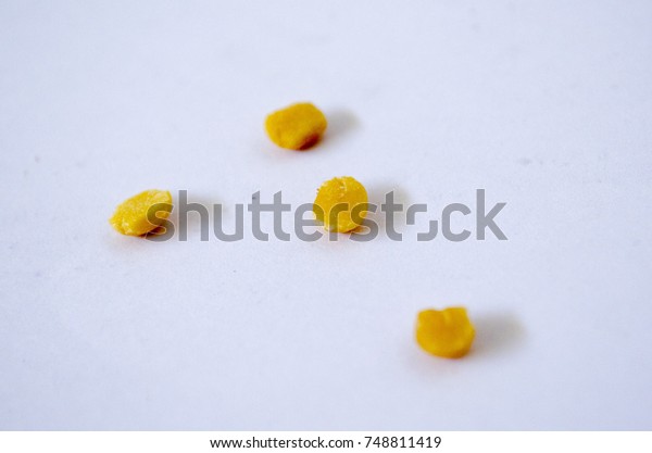 Pigeon pea split\
isolated on white\
background
