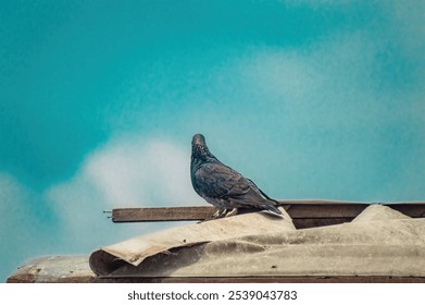 A pigeon perched on a rooftop against a clear blue sky. This image is perfect for urban wildlife, nature, and birdwatching themes - Powered by Shutterstock