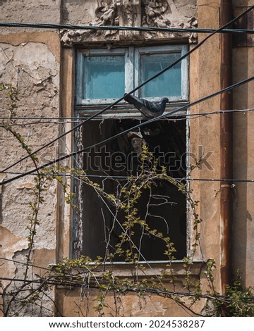 Image, Stock Photo #230999 Deserted Ruin