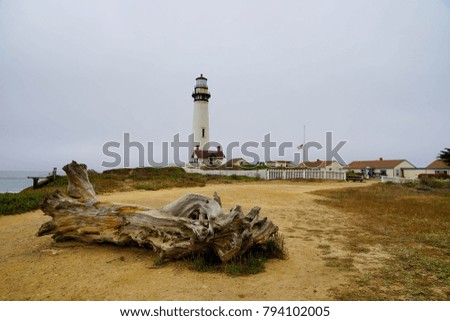 Pigeon point of California. USA