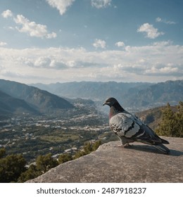 A pigeon resting on a ledge with a view of mountains in the background. - Powered by Shutterstock