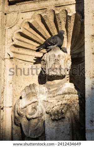 Pigeon sitting on sculpture in Merida, Mexico