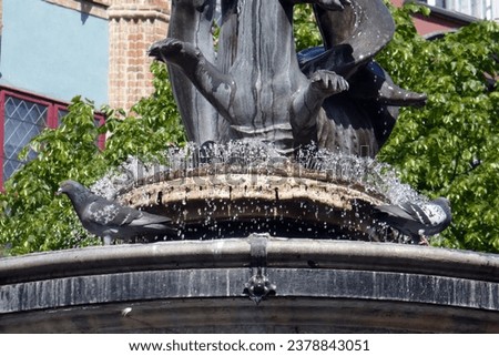 pigeons birds in bronze monument Tryton fountain in Gdansk Poland monument on the market tourist attraction famous, travel, visit, 