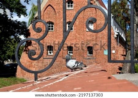 Pigeons in front of the Little Mill in Gdansk