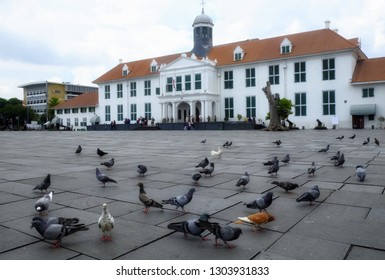 Pigeons Gather In The Area Kota Tua Jakarta