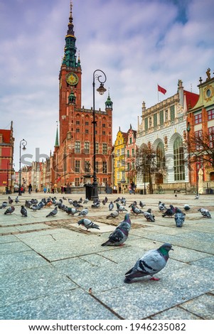 Pigeons in the old town of Gdansk, Poland