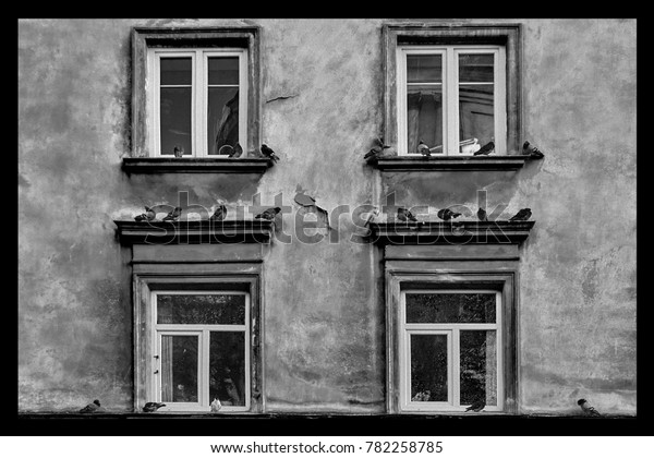 Pigeons On Cornices Windows Stock Photo Edit Now 782258785