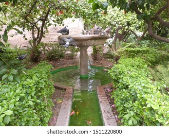 Imágenes Fotos De Stock Y Vectores Sobre Waterfontain