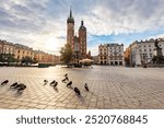 Pigeons on market square in Cracow, Poland old town with St. Mary