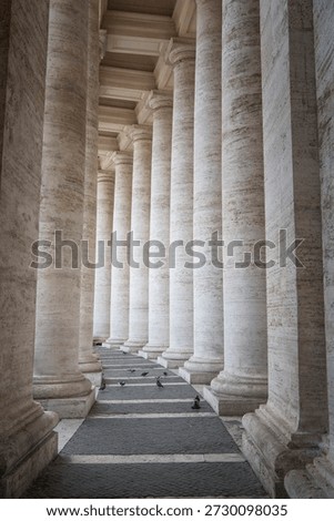 Pigeons on a path between architectual columns within a building at the vatican in the holy see in Rome Italy. 