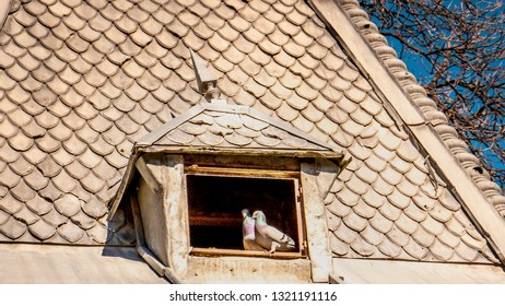 Pigeons Sitting In A Pigeon House Window On The Sun At Quinta De La Fuente Del Berro City Park In Madrid, Spain. Birds Came Out To The Sun In Spring To Warm Up.