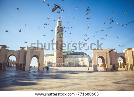 The pigeons soared over the area of the mosque Hassan II in Casablanca, Morocco.
