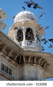 Pigeons Startled From Gaitor Marble Temple In Jaipur