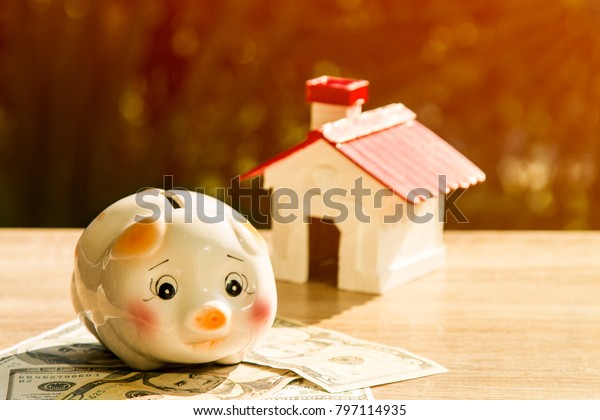 Piggy bank and banknotes on blur house and garden
background in sunlight show savings to buy a home or buy real
estate or show a loan and divide the investments. Concept of
savings money and home.