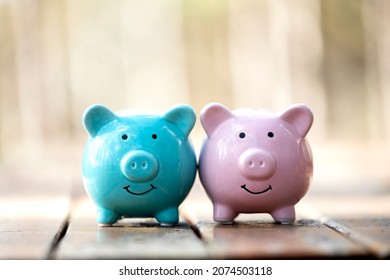 Piggy bank concept for saving